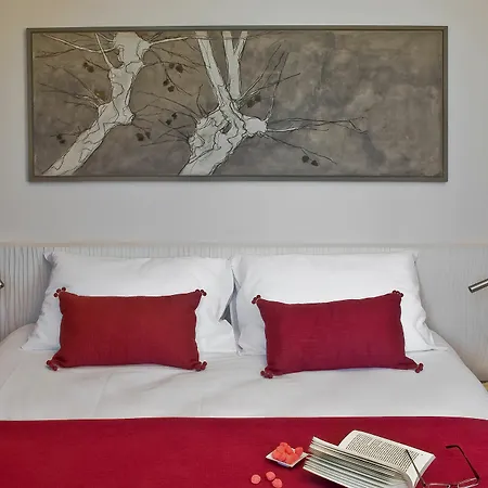 Decoh Paradis *